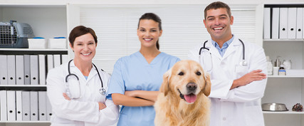 Veterinarians